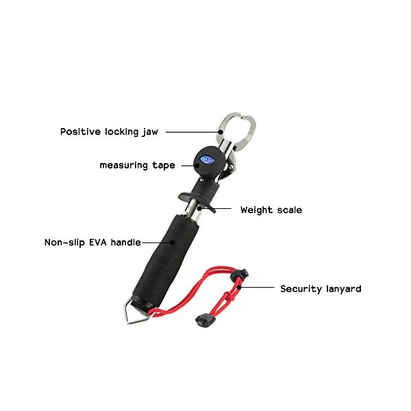 Janhiny Fisch Lippengreifer mit Edelstahl Angelzange Scissor Fishing Grabber mit Scale Lineal und Maßband Angelzubehör – Bild 3