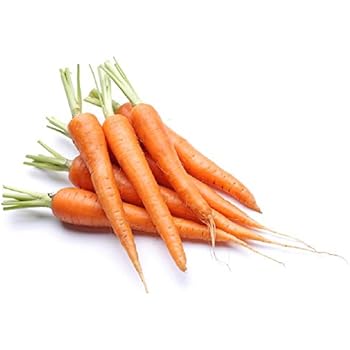 Amazon.com : David's Garden Seeds Carrot Napoli 8721 ...