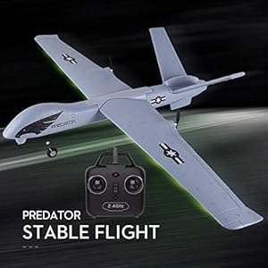 PLRB RC Plane, 2.4Ghz 2 Channels RTF RC Predator Airplane, RC Aircraft with 3-Axis Gyro for Beginner, A Easy to Fly Glider Toys (Wingspan 660mm)