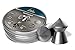H&N Spitzkugel Pointed Airgun Pellets .25 Caliber / 24.85 Grains (200 Count)