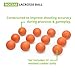 Champion Sports Official Lacrosse Balls - Multiple Colors in Packs of 2, 3, 6, and 12