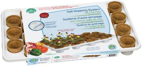 Planters Pride RZWTR0C Self-Watering System with Fiber Grow Coconut Coir Pots