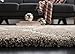 SAFAVIEH Hudson Shag Collection Area Rug - 5'3