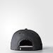 adidas Originals Men's Trefoil Chain Flatbrim Snapback Cap, Black/Grey, One Size