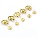 DGOL 10 sets Brass Nail Rivet Chicago Stud Screw 360 Degree Rotate Ball Post Head Buttons with D Ring