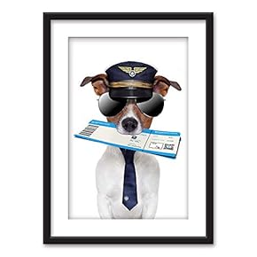 Framed A Dog in The Pilot