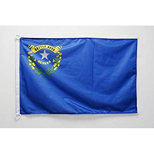 AZ FLAG Nevada Nautical Flag 45x30cm - Nevada American Convenience Pavilion - USA 30 x 45 cm, Boat Flag with Rings
