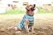Puppy Face Striped Shirt for Dog Tank Pet Shirts Green and Grey Wide Stripe Pet Clothes for Dogs Large