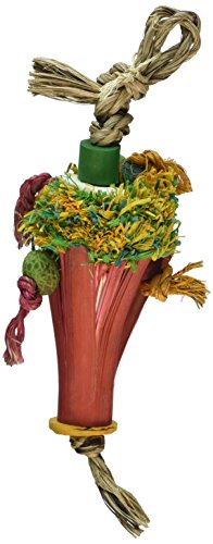 Planet Pleasures Snow Cone Bird Toy, Small