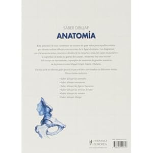 Saber dibujar anatomia / Knowing how to draw anatomy (Spanish Edition)