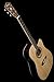 Washburn WD20 Series WD20SCE Acoustic Electric Guitar