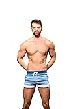 Andrew Christian Savoy Stripe Swim