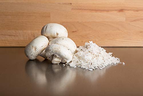 FALKSALT Wild Mushroom (Porcini) Sea Salt Flakes 9 Options - 4.4oz Great for Meat, Poultry, Seafood, Veggies. Use to Marinate or Premium Finishing Salt - Thumbnail 4