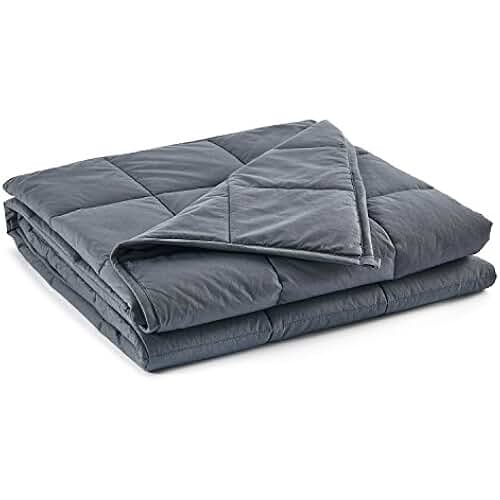 Amazon.com: 25 pound blanket