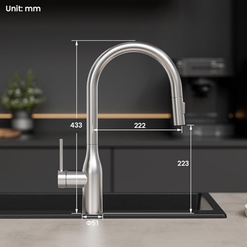 CECIPA Pull-Out Kitchen Tap with 2 Jets, High Arc Kitchen Mixer with Pull-Out Shower, 360° Swivel Sink Faucets with Hand Shower, Stainless Steel Mixer Tap