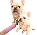 Moonsteps Cat & Dog Soft Finger Toothbrush Dental Brushes(Pack of 6)