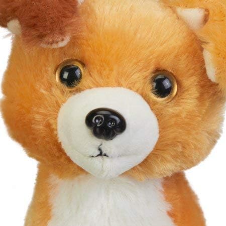 kid connection walking pet dog