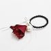 Casualfashion 6Pcs Stylish Korean Morning Glory Flower Ribbon Hair Bows Hair Ties Ponytail Holder for Women Girls