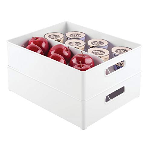 iDesign Plastic Fridge and Freezer Divided Storage Organizer Bin With