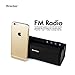 REACHER Portable Bluetooth Speaker with FM Radio, Power Bank, USB, Micro SD, 3.5 AUX (Black)