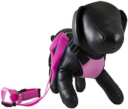 Petcessory PHB-001-PIN-S Travel Harness with Leash, Small, Pink