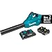Makita XBU02PT Lithium-Ion Brushless Cordless Blower Kit primary