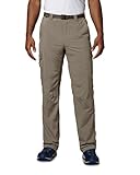 Columbia Men's Silver Ridge Cargo Pant, Tusk, 44x32