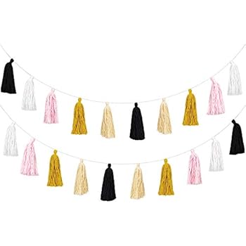 Cotton Tassel Garland Colored Tassels Banner Decorative, Total 20pcs Tassel Wall Hangings for Boho Home Decor, Baby Shower, Birthday Christmas Day Party, Nursey Room (2 Pack)