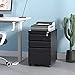 DEVAISE 3-Drawer Mobile File Cabinet with Lock, Legal/Letter Size, Black