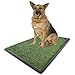 Potty Patch Dog Grass Pad Fake Grass for Dogs to Pee on, Indoor Dog Potty for Dogs Over 15lbs, Grass Pee Pads for Dogs with Tray, Replaces Disposable Puppy Pads (Large), Green, Large: 34