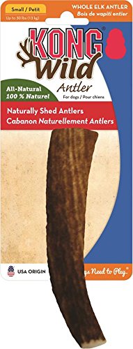 kong antlers
