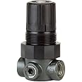 Dwyer Series MPR Miniature Pressure Regulator, Zinc Body, Air and Water, 0-5 psi