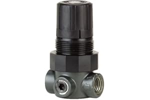 Dwyer Series MPR Miniature Pressure Regulator, Zinc Body, Air and Water, 0-5 psi