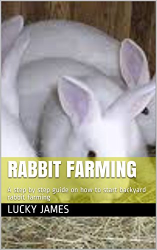 Amazon Com Rabbit Farming A Step By Step Guide On How To Start