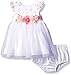 Little Me Baby Girls' Rose Lace Mesh Dress and Panty Set