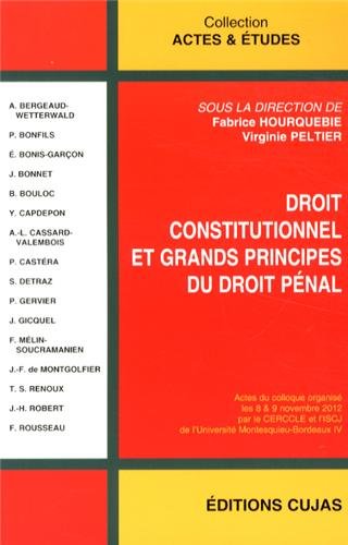 Droit constitutionnel et grands principes du droit pénal