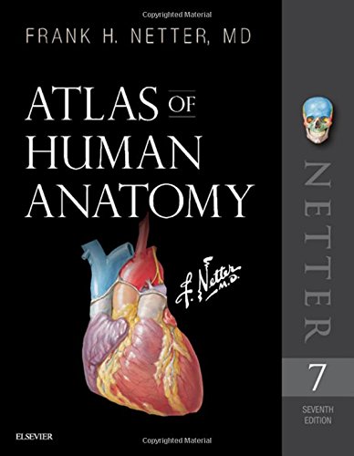 Atlas of Human Anatomy, 7e (Netter Basic Science)