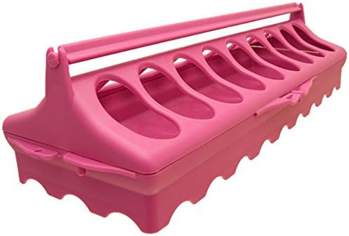 Hentastic Smart Start Plastic Ground Chick Feeder (One Size) (Pink)