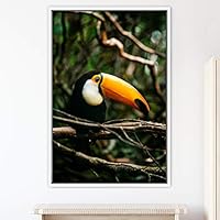 Framed Canvas Wall Art Single Bird Birds Expressive Farmhouse/Country Multicolor Photography Portrait Single - 16x24 inches