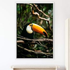 signwin Framed Canvas Wall Art Single Bird Birds...