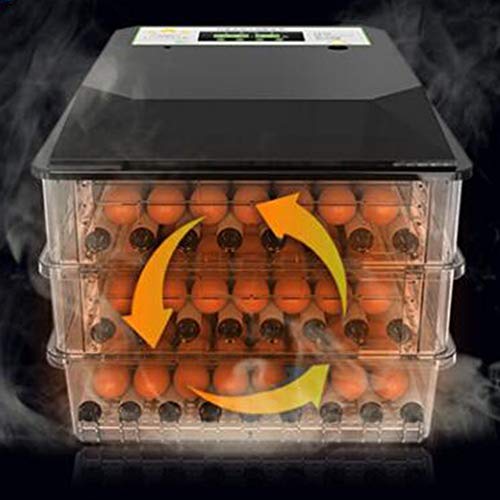 Zidao Vollautomatische Brutmaschine Eier Brutapparate,Für Terrarien Motorbrüter Hühner Inkubatoren Für Geflügeleier… – Bild 5