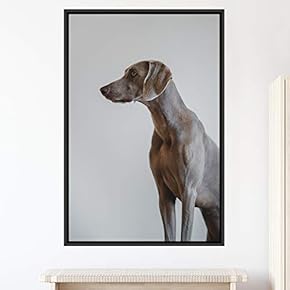 signwin Framed Canvas Wall Art Pupper Animals Chic...