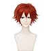 GOOACTION 11.8inch/30cm Male Short Anime Red Fluffy Wig for Nick Wilde Halloween Cosplay Costume Synthetic Hair Wigs