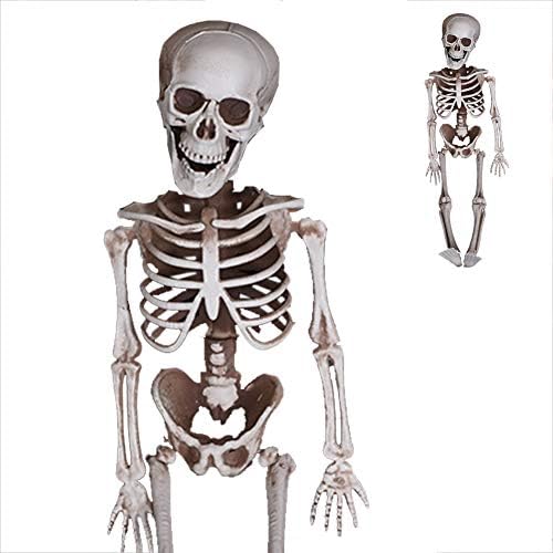 DiaoGJG 6“ Mini Halloween Skeleton Life Size, Realistic Full Body Hang Human Bones Science Model Joints Bending Best Prop Parties Decoration-a 15cm(6in)