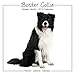Border Collie Calendar - Breed Specific Border Collie Calendar - 2015 Wall calendars - Dog Calendars - Monthly Wall Calendar by Avonside Studio