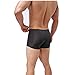 ALT 2017 Men 's Underwear Sexy Temptation Separation Ice Silk Translucent JJ Sets (Medium, Black)