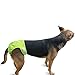 Luxja Reusable Female Dog Diapers (Pack of 4), Washable Wraps for Female Dog (X-Small, Gray+Green+Purple+Rose Red)