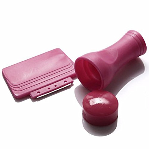 Large Small Scraper Nail Art Stamping Plate & Double Ended Stamper Image Tool