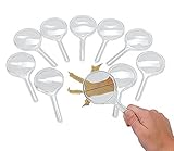 Fun Express Magnificent Magnifying Glasses (10 Piece)
