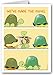Stonehouse Collection | Funny New Address Card Pack | We've Made the Move | Turtle Moving into New Shell | 18 Cards & Envelopes - USA Made